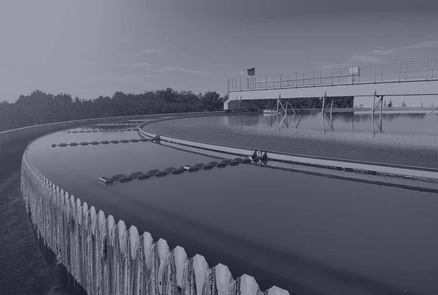 Sanitation Experts - Intellex